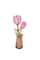 Rowood Pink Tulip Wooden Bloom Craft